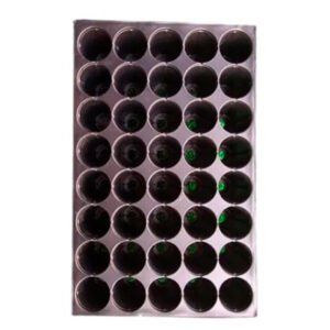 HIPS-Pro-Trays-40-CAVITY