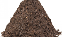 Poultry Manure